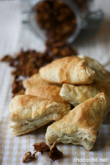 sienipasteijat sienipasteijat